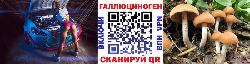 Галлюциногенные грибы MAGIC MUSHROOMS  продажа наркотиков  Щигры 
